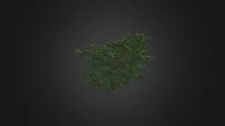 Plant for c4d