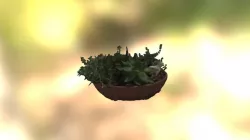 Plant Low Poly
