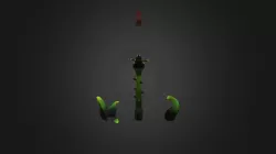 Plante