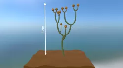 Plantes vasculaires (-420 Ma) : Cooksonia