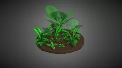 Plants