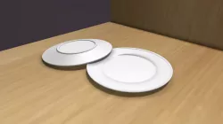 Plate
