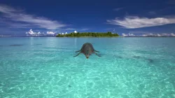Plesiosaurio