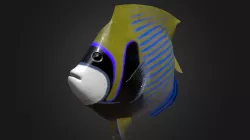 Pomacanthus Imperator Rigged