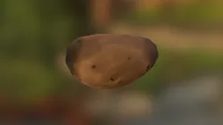 Potato