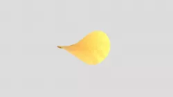 Potato Chip