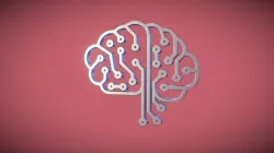 programmer brain