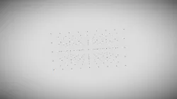 Project Name