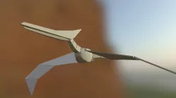 Pterodactyle Anim Flying