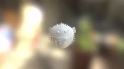 Puffer Fish
