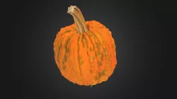 Pumpkin1 polarized