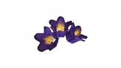 Purple Flower (hand painted)