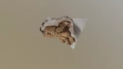 Pygmy Mammoth Foot