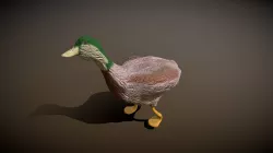 Quack