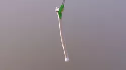 R_ROD Guide 03 dorsal