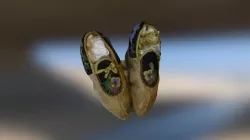 R47: Beaded T Seam Moccasins