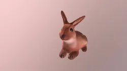 Rabbit