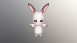 Rabbit