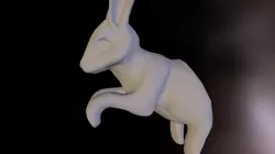 Rabbit