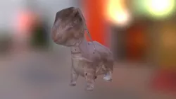 Rabbit
