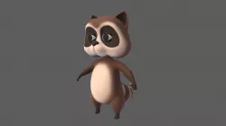 Raccoon