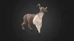 ram 4