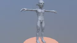 Ravenkard WIP- Anatomy study