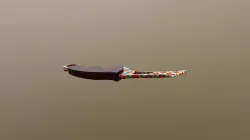 Reaper Knife Hearts