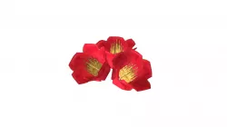 Red Flowers (hand painted)
