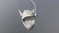 Retopo