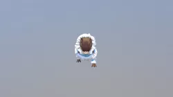 Rex's animations