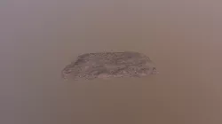 rgLOD1