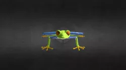 Ribbit