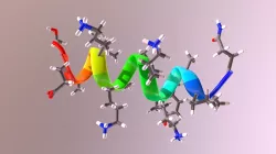 Ribbon Representation of a Short Polypeptide