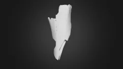 Risch-Rotkreuz, Mammut-Knochen / mammoth bone