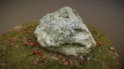 Rock in the forest.