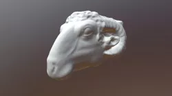 Roman Ram