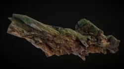 Rotten wooden  branch