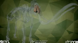 Rufus the Mammoth