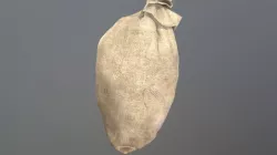 Sack_v2