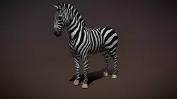 Safari animals - Zebra