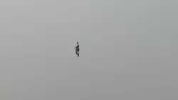 Samba Dancing