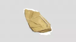 Sample 4