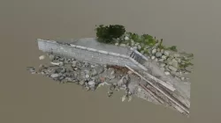 Sample Section