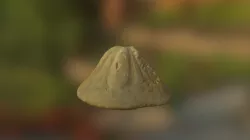 SAND DOLLAR FOSSIL