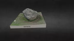 Saywite