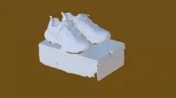 Scanned Shoes