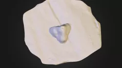 sculpt