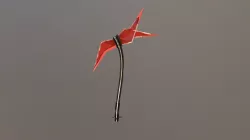 Scythe 3D