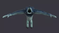 Sea Creature